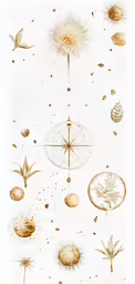 different plants and other types of items flying above