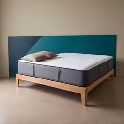 this is an image of a bed with mattress in it