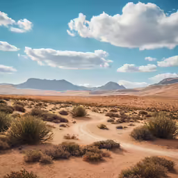 the dirt road that runs into the distance is near mountains