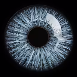 a close up image of the iris of an eye