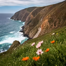 a field of flowers along side a sea with a cliff in the background