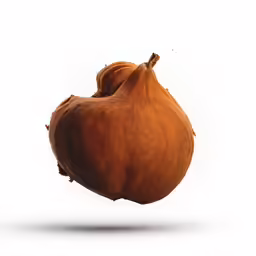 the head of an onion in flight against a white background