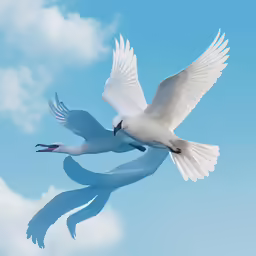 a large bird with two wings spread out