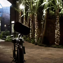 a bike parked next to a palm tree covered with lights