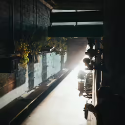 sunlight coming through on an open room with pots and planters