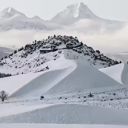a group of people on snow skis walking over a snowy hill