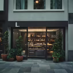 this is a photo of a store front with potted plants