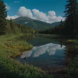 the view of a lake in the middle of a forest