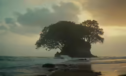 a tree on an island in the middle of a body of water
