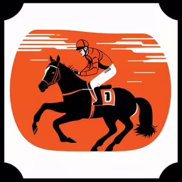 an orange and black picture of a jockey riding a horse,there is a man riding a horse on an orange and white background