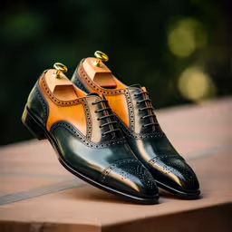 there is a pair of shoes that are sitting on a board,an image of an men