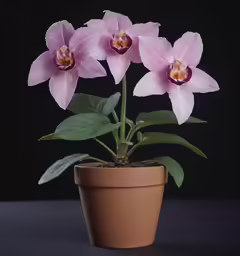 three pink flowers that are in a pot