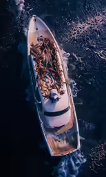 a boat in the water full of leaves
