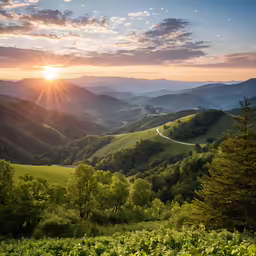 a scenic view of the sun setting in the valley
