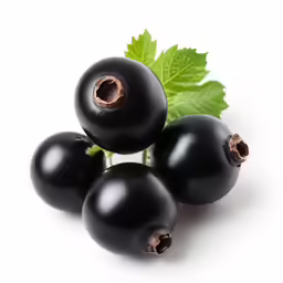 the berries are black in color with some green leaves