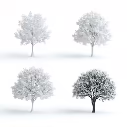 four trees standing different directions in a row