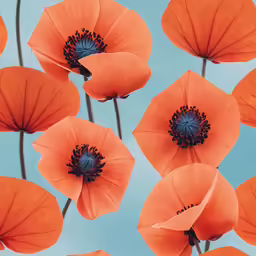 four poppy flowers with a sky background