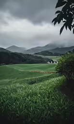 the mountainside of a country house next to trees