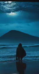 a person on a beach near a hill under a full moon
