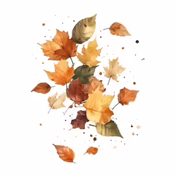 a painting of watercolor autumn leaves on white background