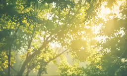 some trees are seen through the leaves of the tree