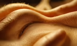 a closeup of the face and eye of a woman with shiny skin