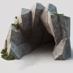 a small tree growing at the top of a rock