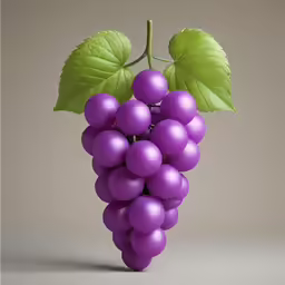 a bunch of grapes with green leaves in a vase
