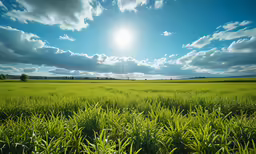the sun sets over the field and blue sky