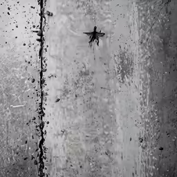 an abstract design with lines and flowers on a wall