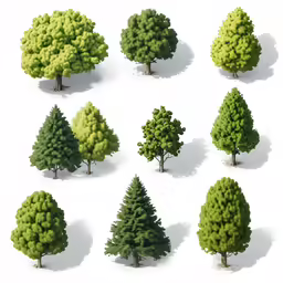 many green trees are shown in this image