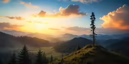 the sun is rising over mountains and forests