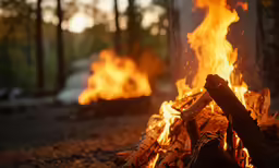 a close up view of fire in the woods