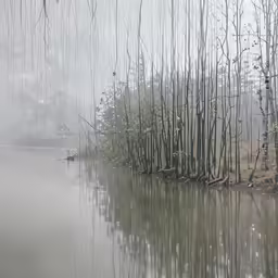 the rain is falling on a foggy pond