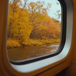 some water trees and the bushes are turning yellow