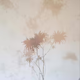 two flowers on a sunny day with sky in the background