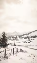 a snowy field with trees in the middle of it