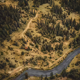 an aerial view of a grassy valley and the river surrounded by trees