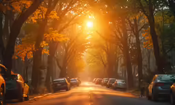 this is a long and tree - lined city street with many parked cars