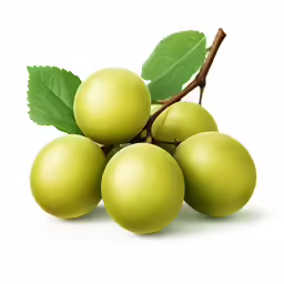 three ripe green grapes on a branch with leaves