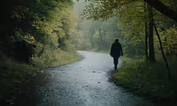 the person is walking down the trail in the woods