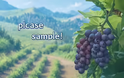 there are some grapes hanging from the tree