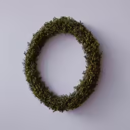a green moss covered wreath hangs on the wall