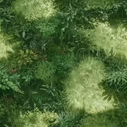 a view of an area that has many different plants