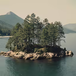 a small island in the middle of the ocean with lots of trees