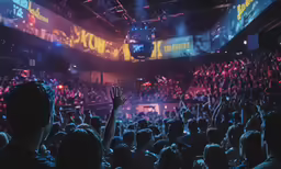 a crowd at a concert looking down on the audience