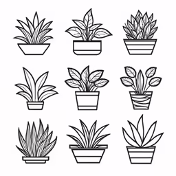 a black and white picture of various potted plants