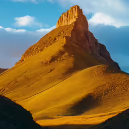a mountain with some tall trees and grass