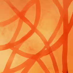 a picture of an orange background with circles and lines