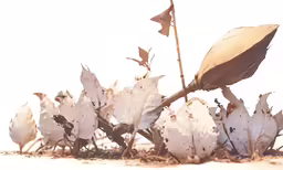a broken umbrella and leafy vegetation with snow on the ground